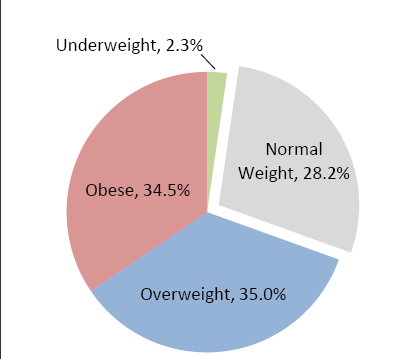 body mass index chart